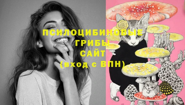 прущая мука Новозыбков