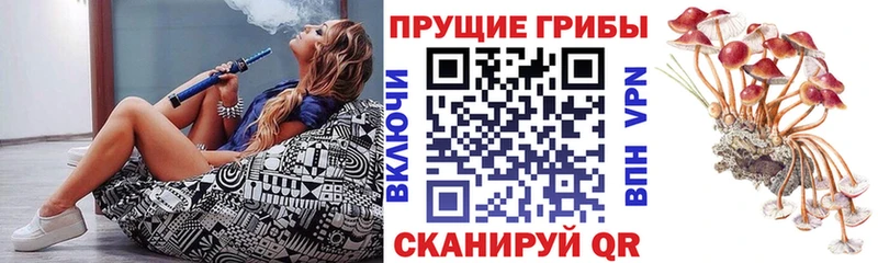 Купить где  Томск  Галлюциногенные грибы Magic Shrooms 